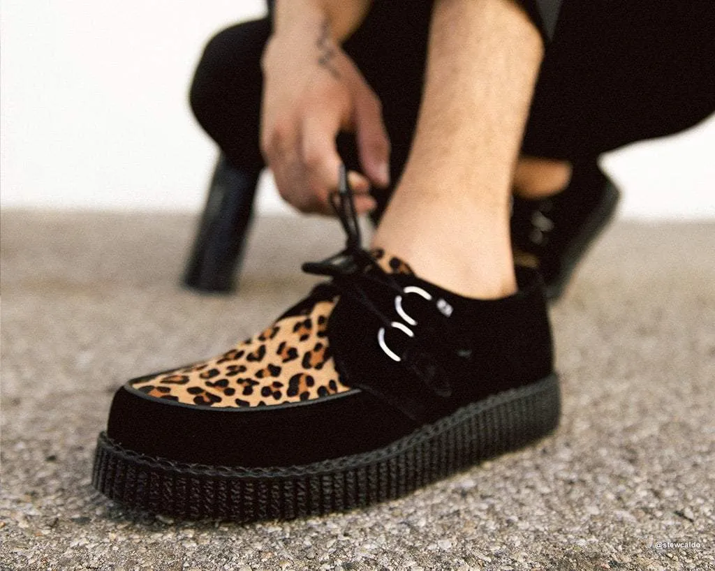 Black & Leopard Viva Low Creeper